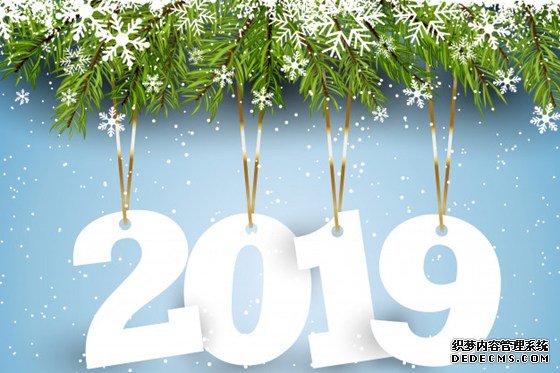 学习2019新年贺词心得体会