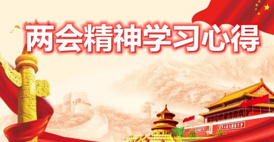 学习两会精神心得体会