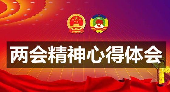 2019党员学习两会精神心得体会