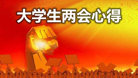 大学生学习两会心得体会8篇