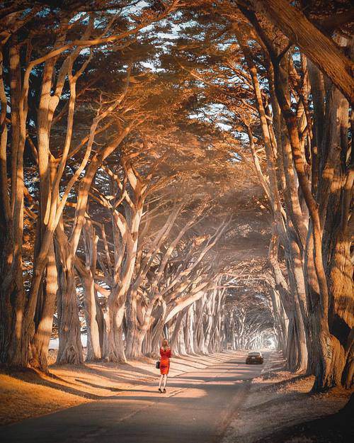 当代大学生必读文学作品——《乌合之众》