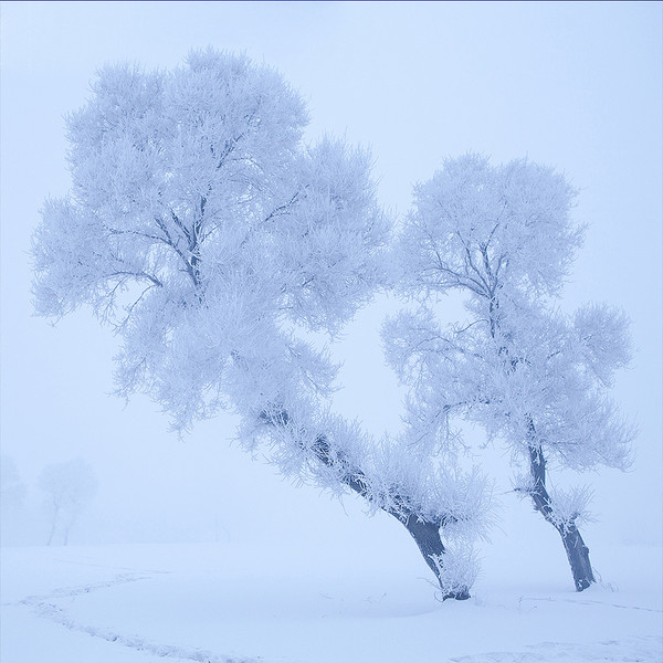 ��Ҫ������֪�������ùص���ȷ��רע˼��ģʽ