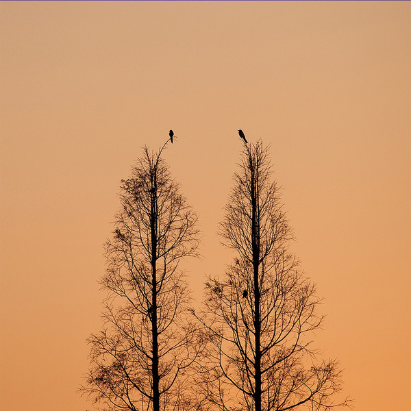 ����õ��Լ������Ҫ�Ļ��ǵó���ס��