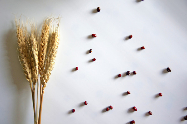 �����Ѳ���ͬ�£�Ӧ����ô��