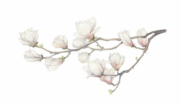 ����ȼ����������룬�ܽ�һ���˴����۷�