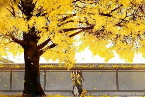 用有限的生命,去传播佛法——鸠摩罗什