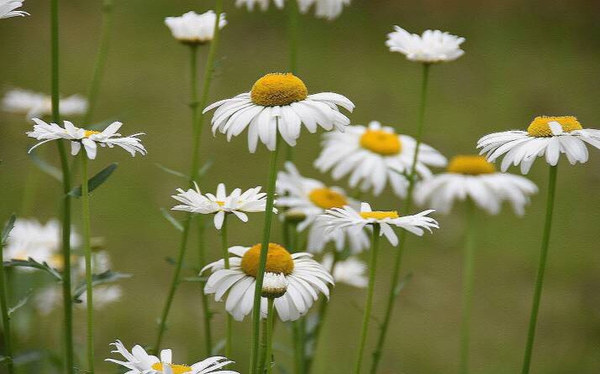 被遗忘的角落,隐尽了浓雾般的孤独