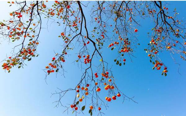 ���������˵��ˣ���Զ���м�ֵ��������