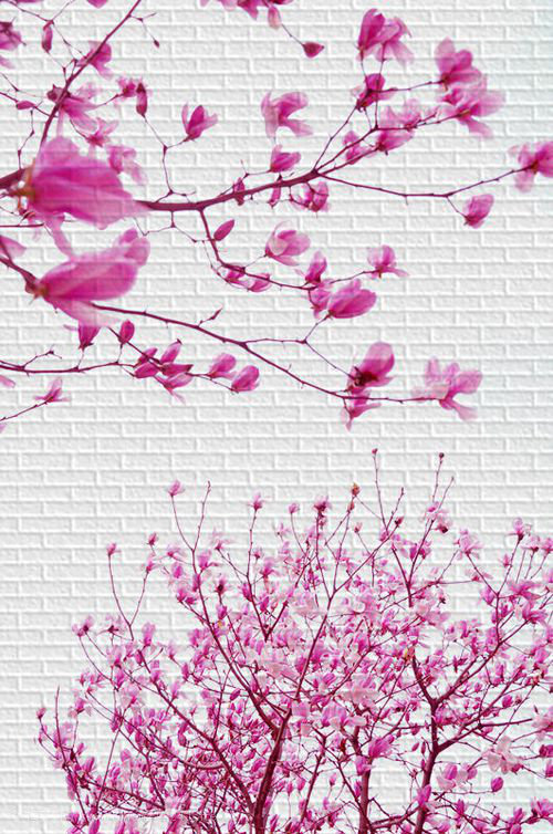 青春好像一团烈火,燃烧着你我的执着