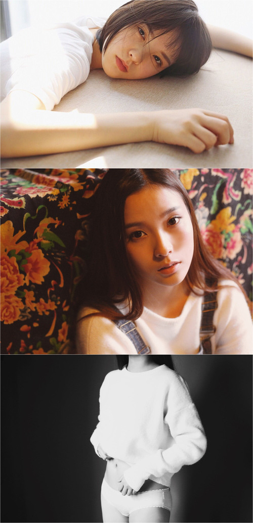 �����������ͣ������������