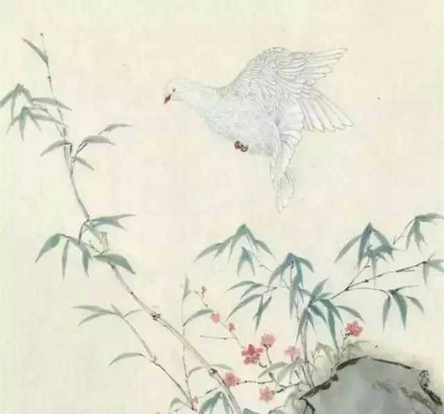 学习从来就是自己的事,不管你是为了什么