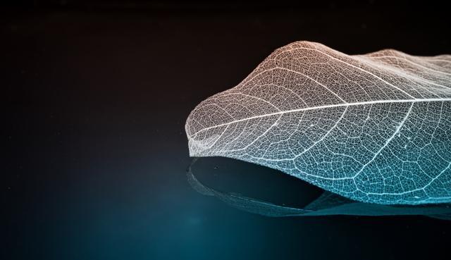 ���缴��չ��ȫ����ר���鹤�����ֽ���������������