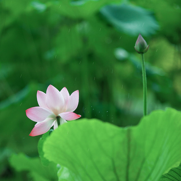 写故事挺简单,但写出一个好故事难