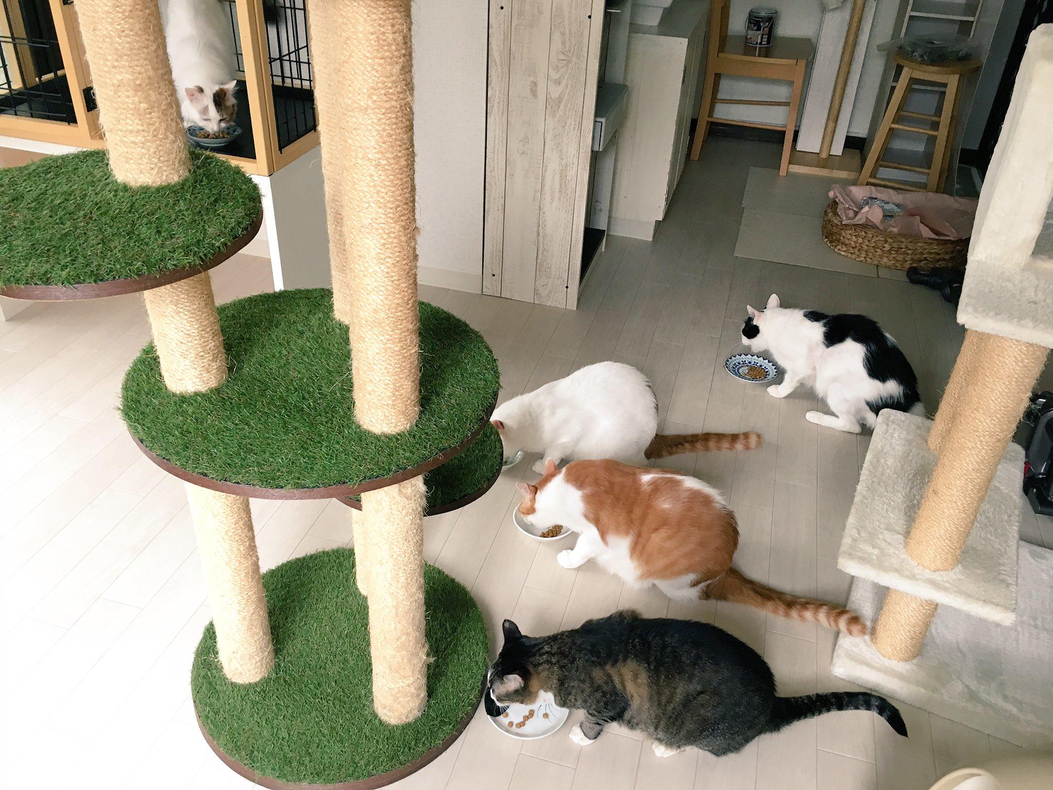 ��ȥè���⿧�ȹݣ���ż��˽�һ��