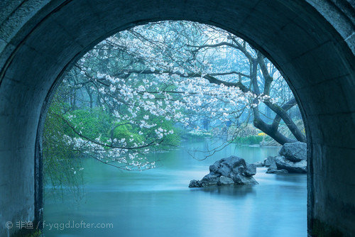 对于一个人,你是整个世界