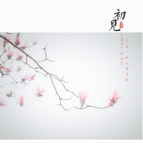 人生有太多宝贵的东西,不要为不值得的人与事生气