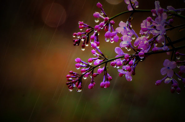 从孩子玩具乱放得出的总结,发现了问题,和孩子一起去做