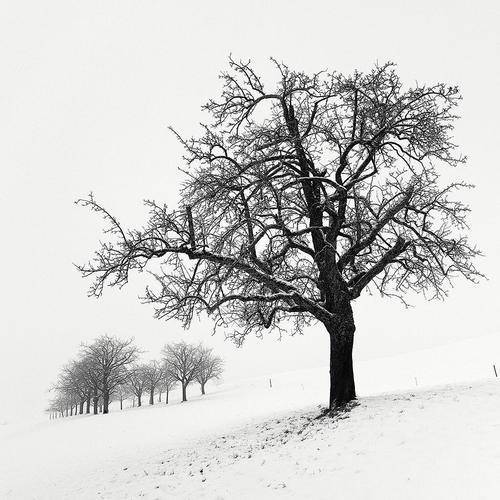 敢于承担责任的人,就舍弃了被安慰的权利
