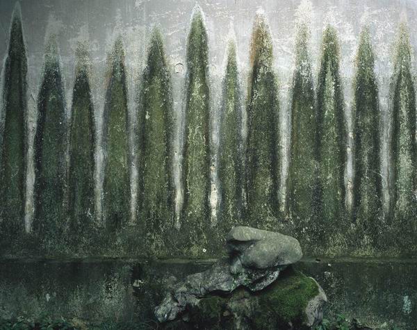 埃莱娜·比奈:寻找深深扎根于中国传统的东西