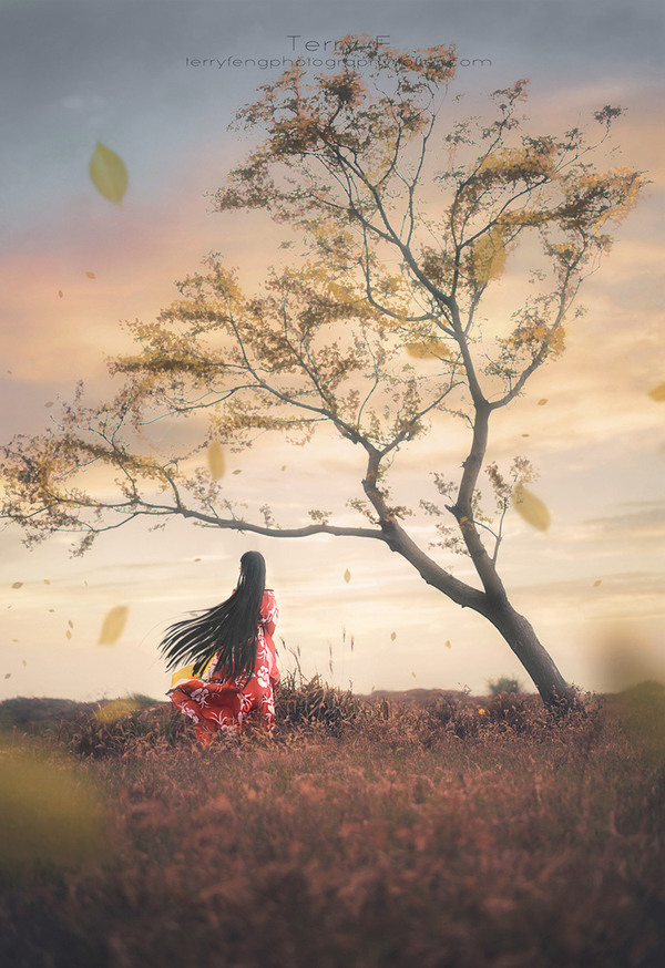 ��ô��ð�ȫ��?ÿ���˶��л�ȡ��;��