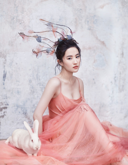 �Ǹ������Ƶ�����,����������������