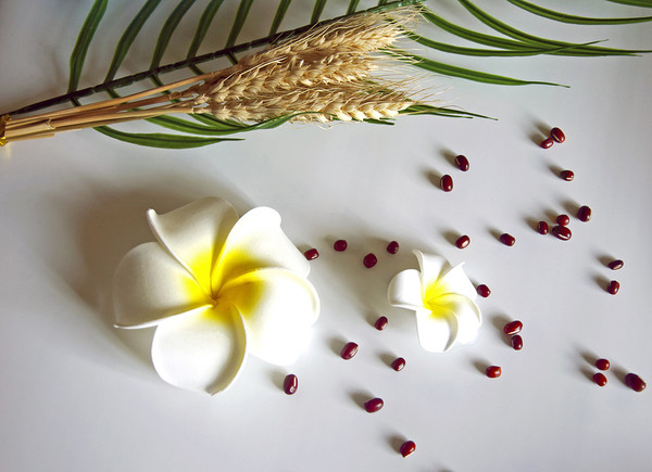 ����Ҳ����ٵ���������ȱϯ