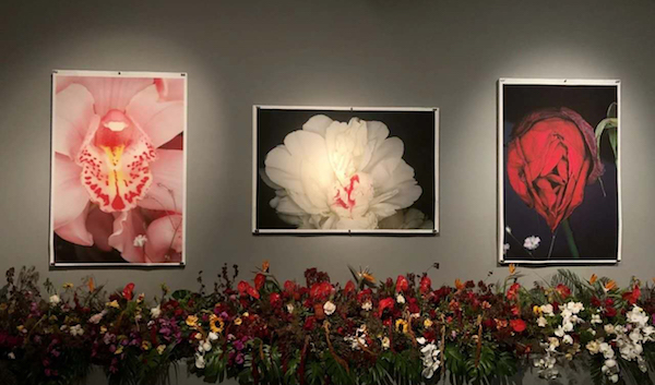 关于荒木经惟:当代摄影艺术家的美学“失衡”