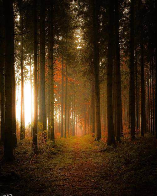 ��ȥ�ľ��Ѿ�ʧȥ���Ҳ�֪����Ҳ����֪��