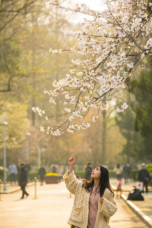 �����Ƕ�ô���ã����Ƿ������ĵ�Ц��