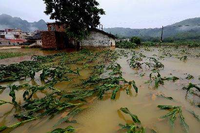 暴雨不断|大范围降水席卷中东部地区