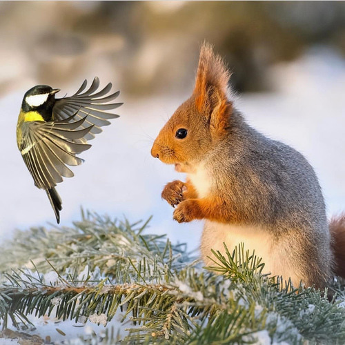 天道循环|杀戮过多,必遭报应