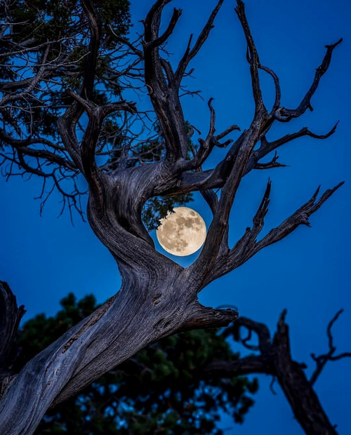 酒肉朋友千个有,困难之中无一人