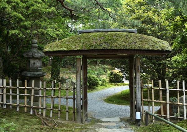 如何理解钱瘦铁先生的艺术与中国文人画?其实中国画根本的问题是一个文化与生命的话题