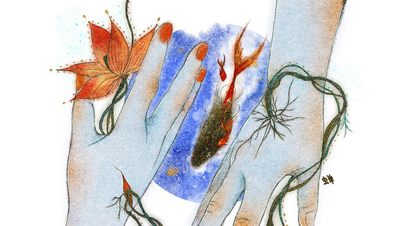 �������ϵ����ǣ������Ҿ���ʱ�̿�����