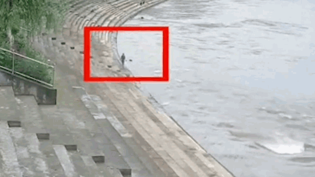 正能量!为见义勇为的英雄们点个赞