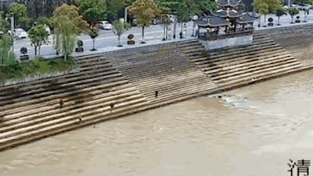 正能量!为见义勇为的英雄们点个赞