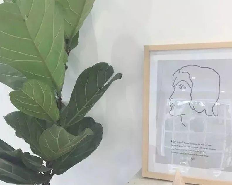 提高自己的价值|将自己培养成一个成长型思维的人