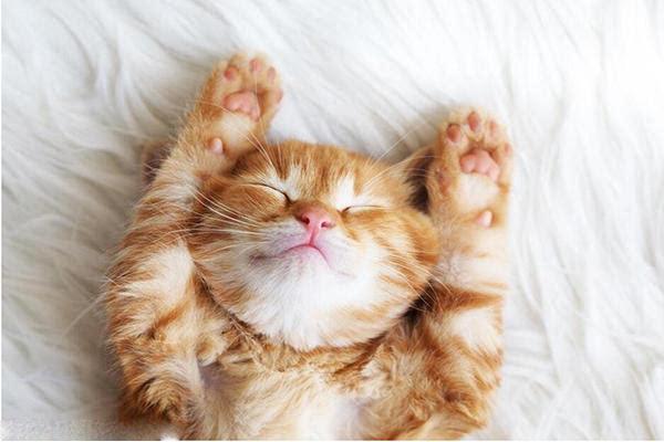 重要!睡觉也有方法,你听说过吗