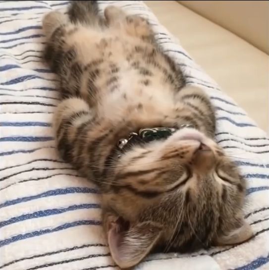 重要!睡觉也有方法,你听说过吗