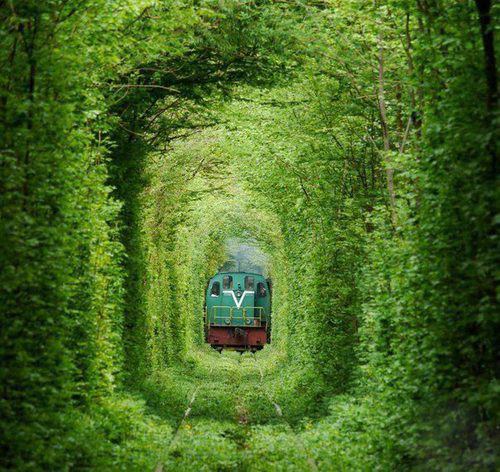 ����һ��ԵΪ�Ҷ�����ο����Ʈ��õ����