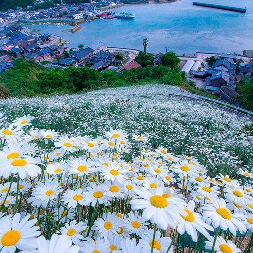 相识满天,难得是诤友,真诚相待才能长久