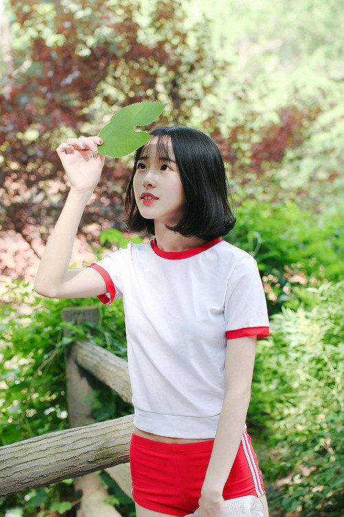 青春和情怀,弥漫一湖的梦和忧伤