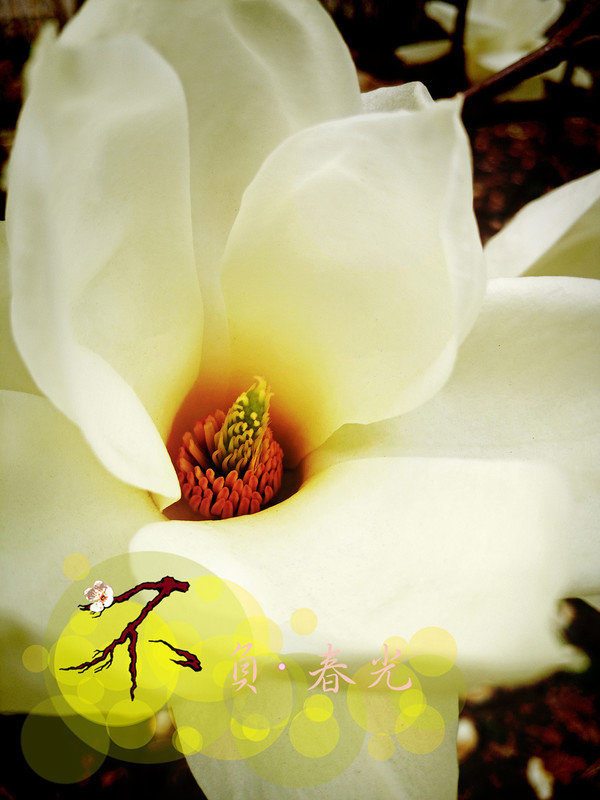 ���ǣ�������������޹�²�֮��