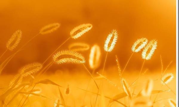 ��ְ�����ˣ���3���ݾ������պ����𣿲�Ҫ������