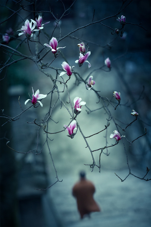 һ���˶�����˵˵_Ц���Ӽ�����������Щš��