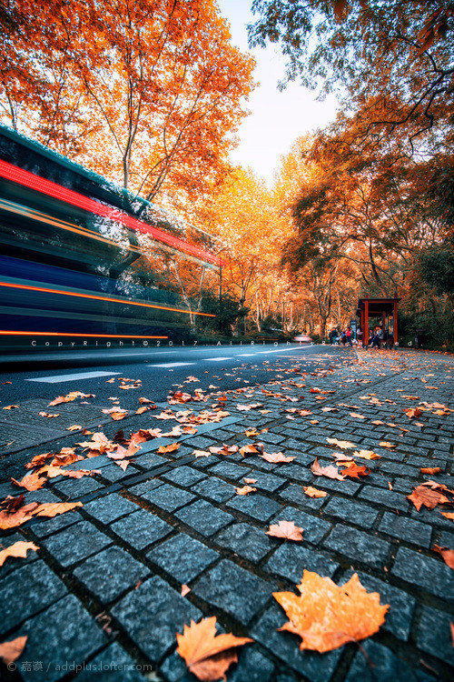 ÿһ��ͽ���������ҿ����Լ�����ÿһ�ε���Ӱ