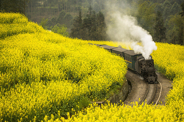 �������,������,�ʻ��Ὺ,һ�ж���Խ��Խ��