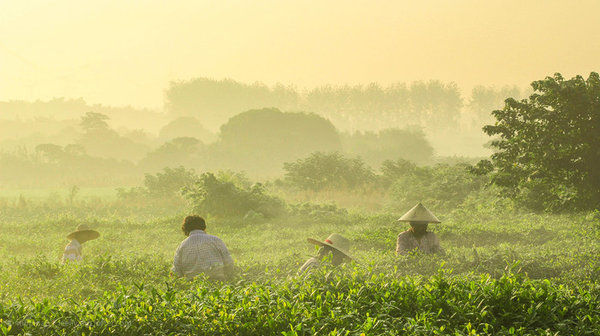 �������,������,�ʻ��Ὺ,һ�ж���Խ��Խ��