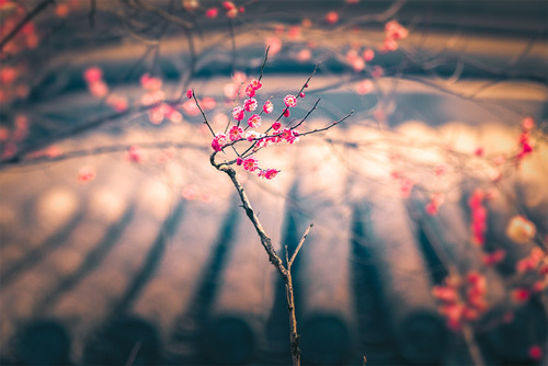 ����ҹ������_��˽���ܰ���