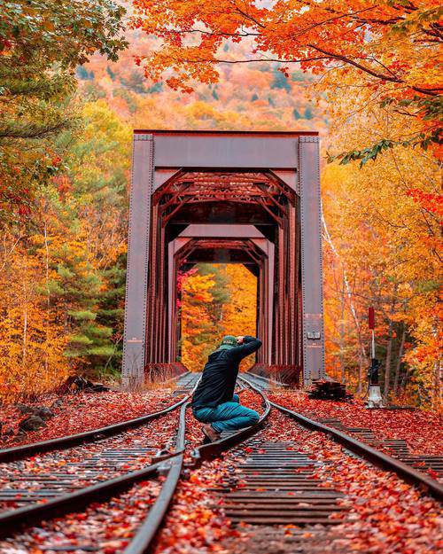 ��һ����÷��,����һ���ĳ���